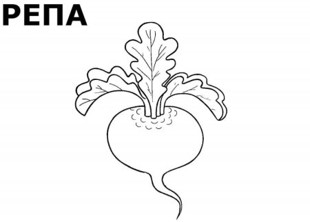 Редиска трафарет