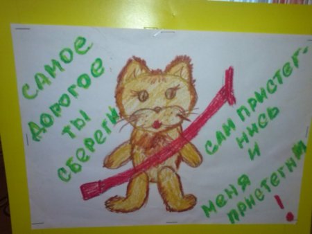Рамочка перевозка детей
