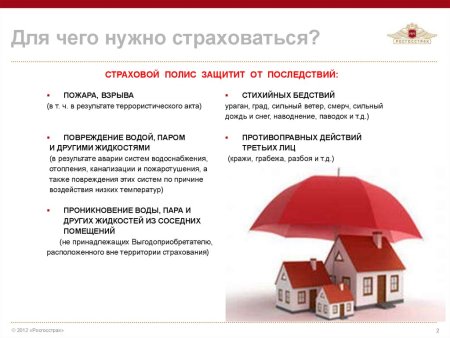 Я И Конституция рисунки