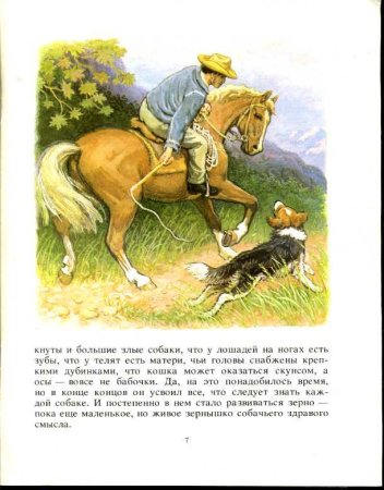 Чинк Сетон-Томпсон