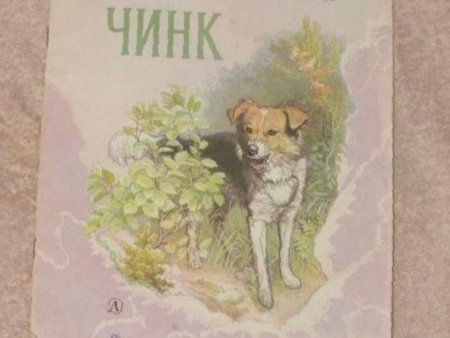 Щенок Чинк