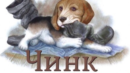 Чинк Сетон-Томпсон
