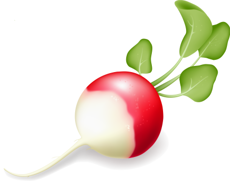 Редис на прозрачном фоне