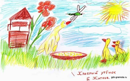Храбрый утёнок Борис Житков