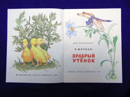 Б. Жидков "Храбрый утёнок"