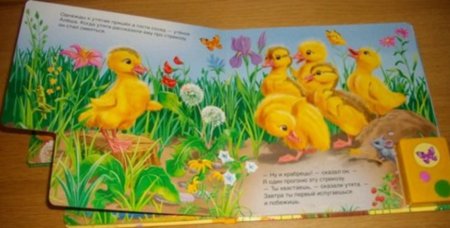 Сказки Житкова Храбрый утенок раскраска