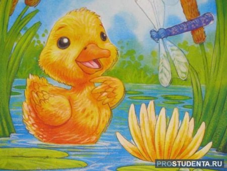 Б.С Житков Храбрый утенок презентация