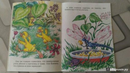 Рассказ Житкова Храбрый утенок