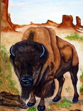 Изображение бизона