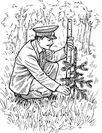 Скребицкий маленький Лесовод