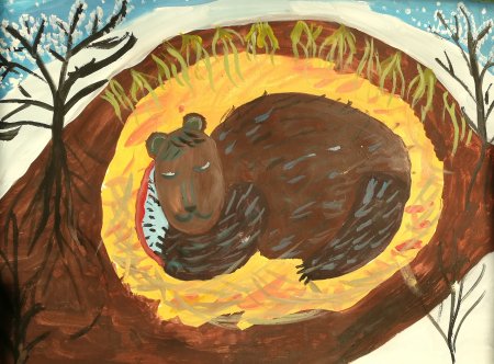 Берлога медведя