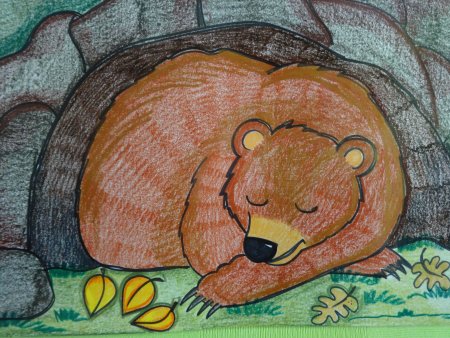 Медвежонок в берлоге