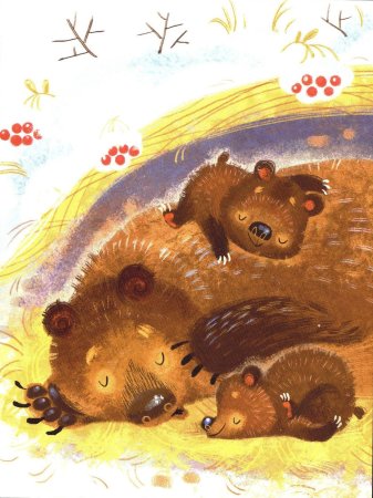 Медведь готовится к зиме