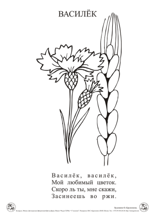Васильки раскраска для детей