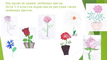 Иллюстрации к сказкам цветными карандашами