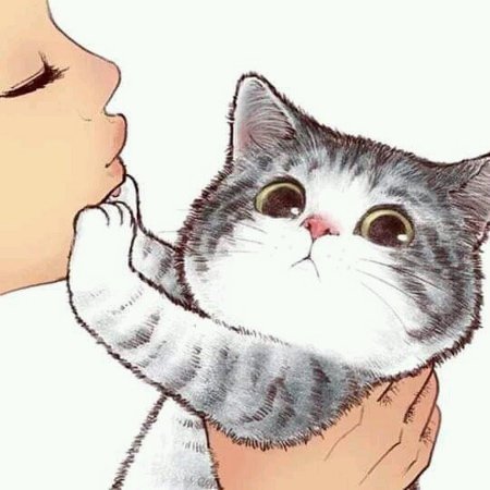 Кошка рисунок милый