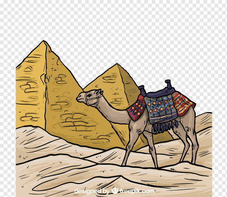 Пирамиды древнего Египта с верблюдом