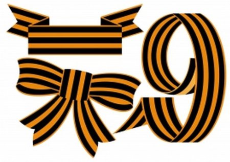 Гвоздики с георгиевской лентой