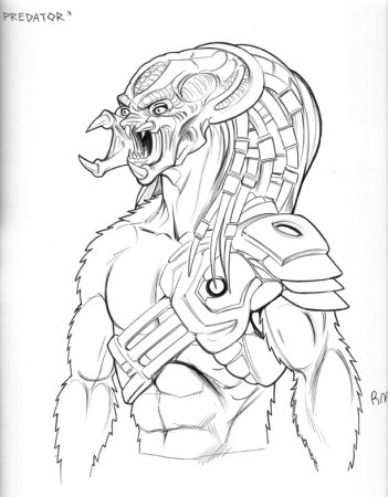 Предатор раскраска