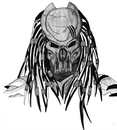 Хищники. Раскраска