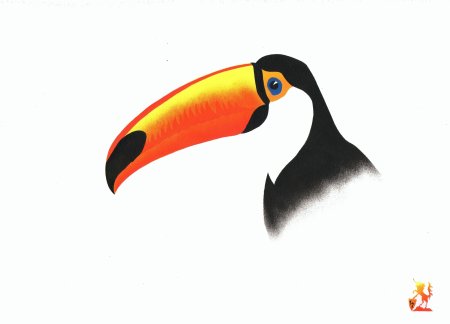Клюв для детей