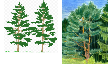 Нарисовать сосну