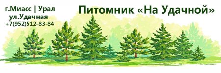 Мультяшные ели и сосны