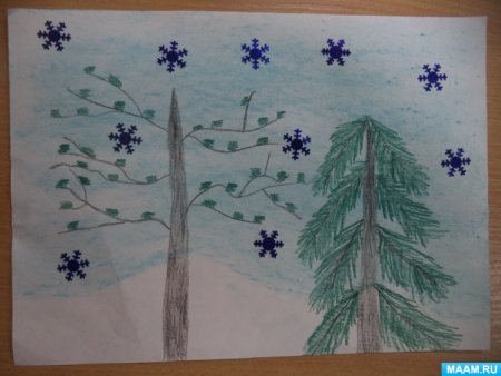 Лиственные и хвойные деревья 1 класс окружающий мир