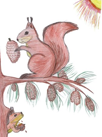 Рисование Белочка