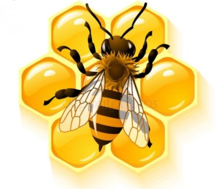 Пчелка с медоммултяшни