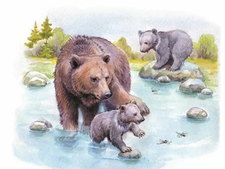 Купание медвежат Бианки