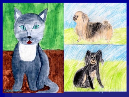 Анималистика рисунки детей