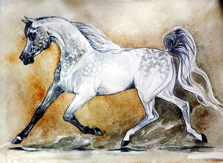 Лошадь рисунок