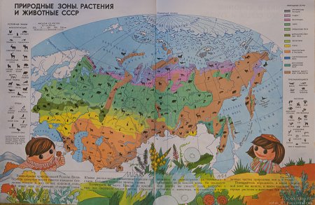 Карта природных зон СССР