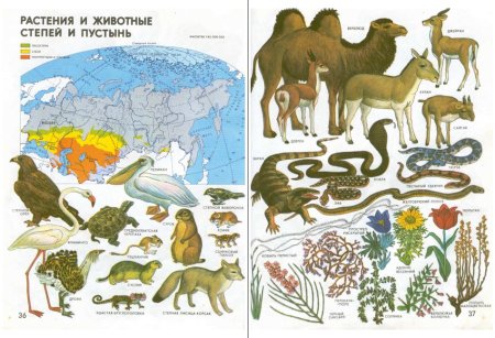 Мир и человек географический атлас 1987