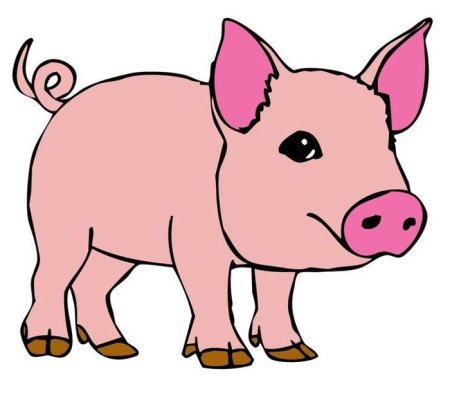 Поросенок раскраска