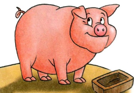 Поросенок рисунок