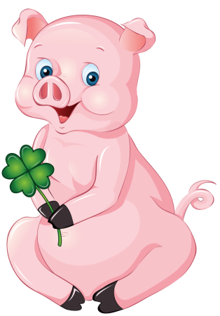 Раскраска свинья