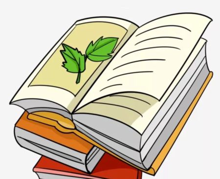 Нарисовать книгу
