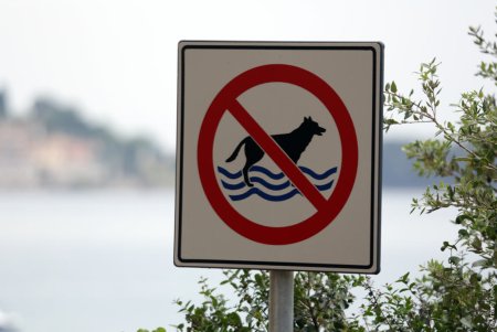 Прибрежная зона знак