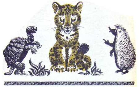 Откуда взялись броненосцы Киплинг рисунок