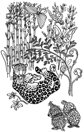 Киплинг откуда взялись броненосцы