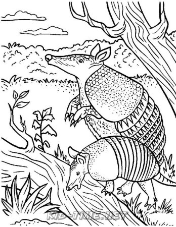 Киплинг броненосцы