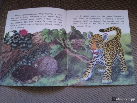 Как появились броненосцы