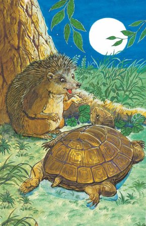 Киплинг броненосцы