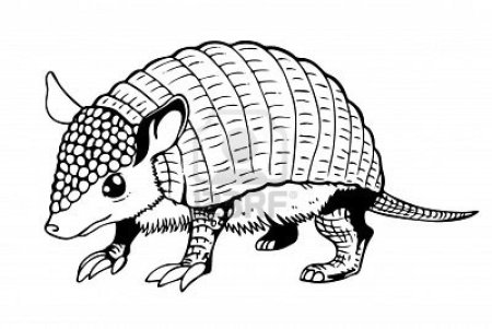 Броненосец рисунок