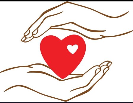 Сердце в ладонях рисунок