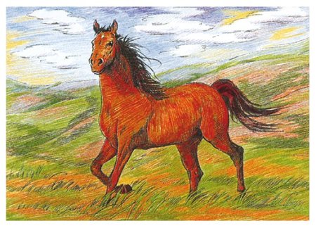 Лошадь цветными карандашами в полный рост