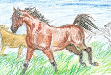 Рисунок на тему лошадь