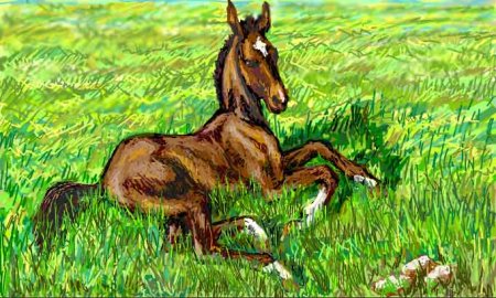 Жеребенок Шолохов